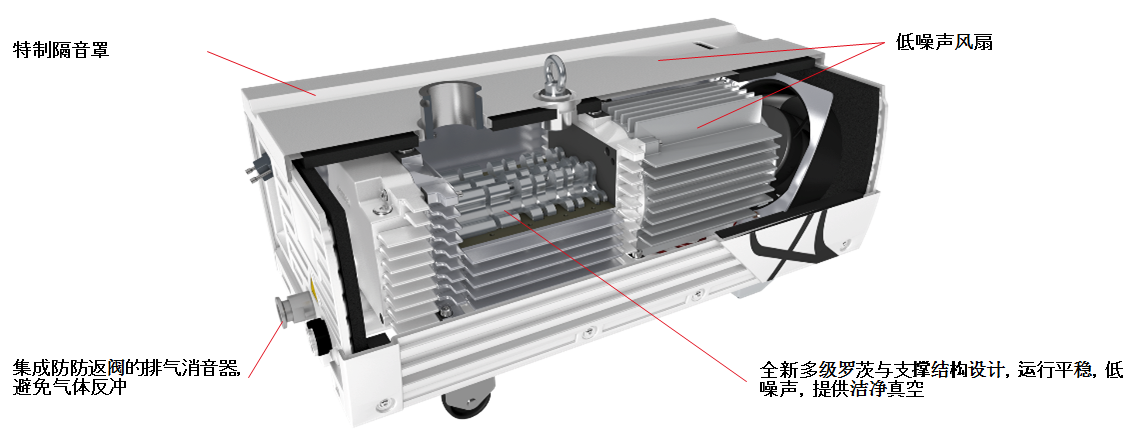萊寶ECODRY plus多級羅茨真空泵剖分